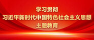 填满小骚逼视频学习贯彻习近平新时代中国特色社会主义思想主题教育_fororder_ad-371X160(2)